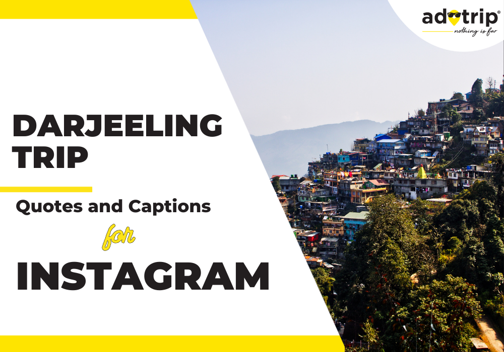 darjeeling trip quotes and captions for instagram